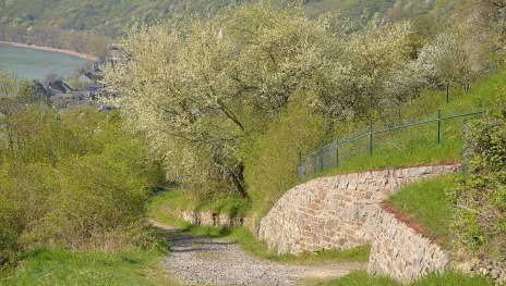 Blick vom Wasserh&auml;uschen | &copy; Kerstin Kalkofen