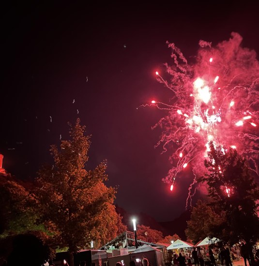 Rhein in Flammen | &copy; Bastian Clos