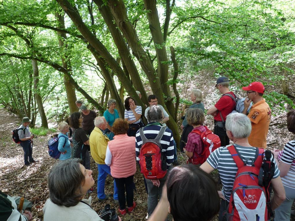 NaturErbe | © Werner Sopp NaturErbe | © Werner Sopp