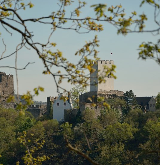Die feindlichen Br&uuml;der | &copy; Kerstin Kalkofen