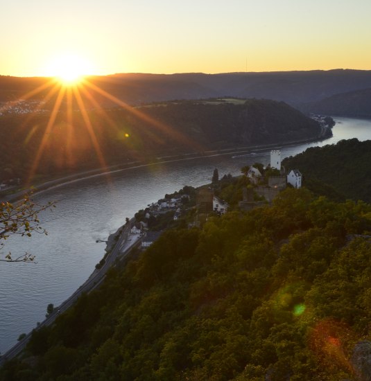 Br&ouml;mserlopf_240816 (16) | &copy; J&uuml;rgen Dedekind