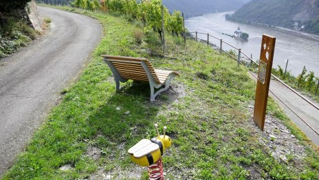 Rheinsteig Erleben - Kaub | &copy; Armin Schaust