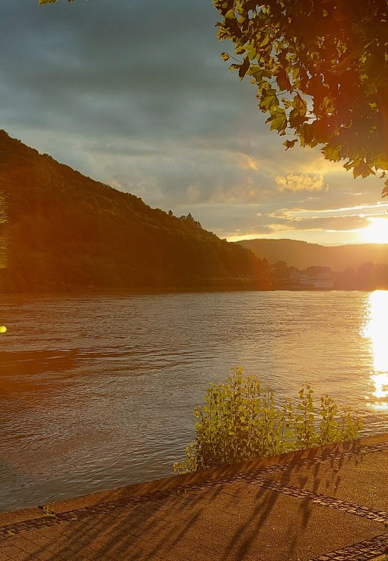 Rheinufer vor Haus Rheingl&uuml;ck | &copy; Heimes