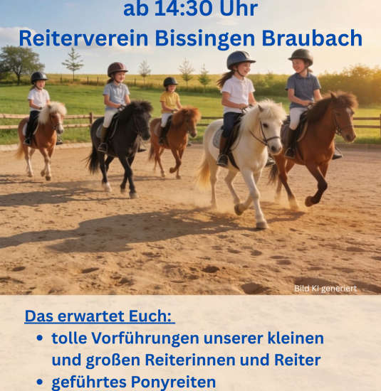 Tag des offenen Stall 2026 | &copy; RV Bissingen e.V.