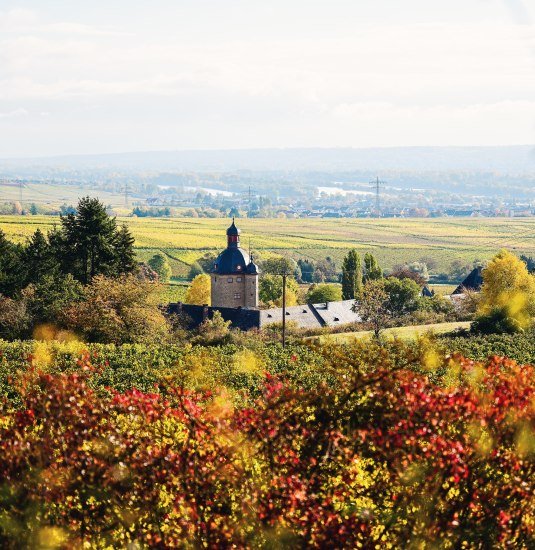 Schloss Vollrads | &copy; Saskia Marloh