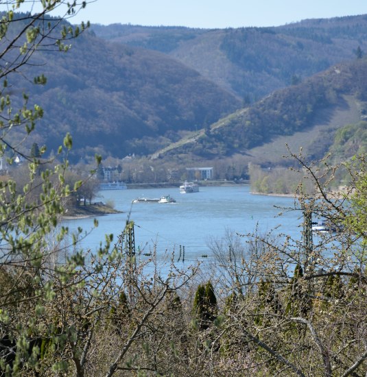 Rheinschleife | © Kerstin Kalkofen Rheinschleife | © Kerstin Kalkofen
